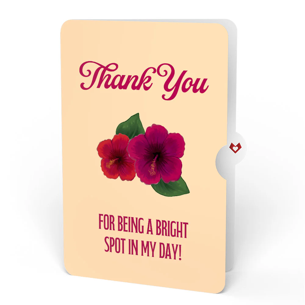 Rainforest Toucan Thank You Pop-Up Card and Hibiscus Sentiment Set - Image 4