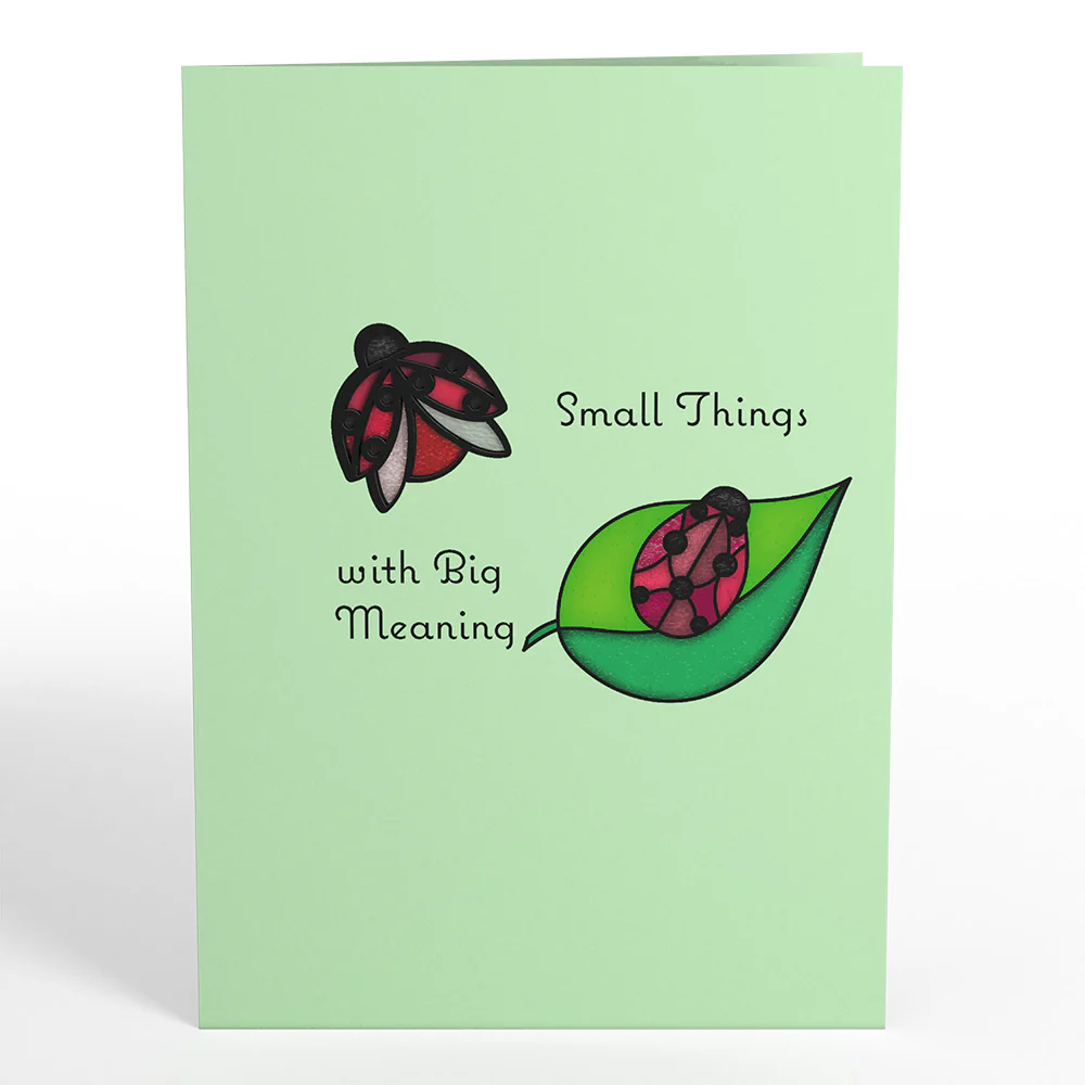 Small Things with Big Meaning Ladybug Suncatcher Card - Image 5