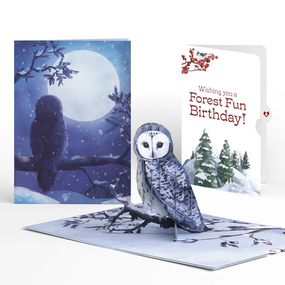 Snowy Owl Birthday Pop-Up Card and Forest Fun Sentiment Set