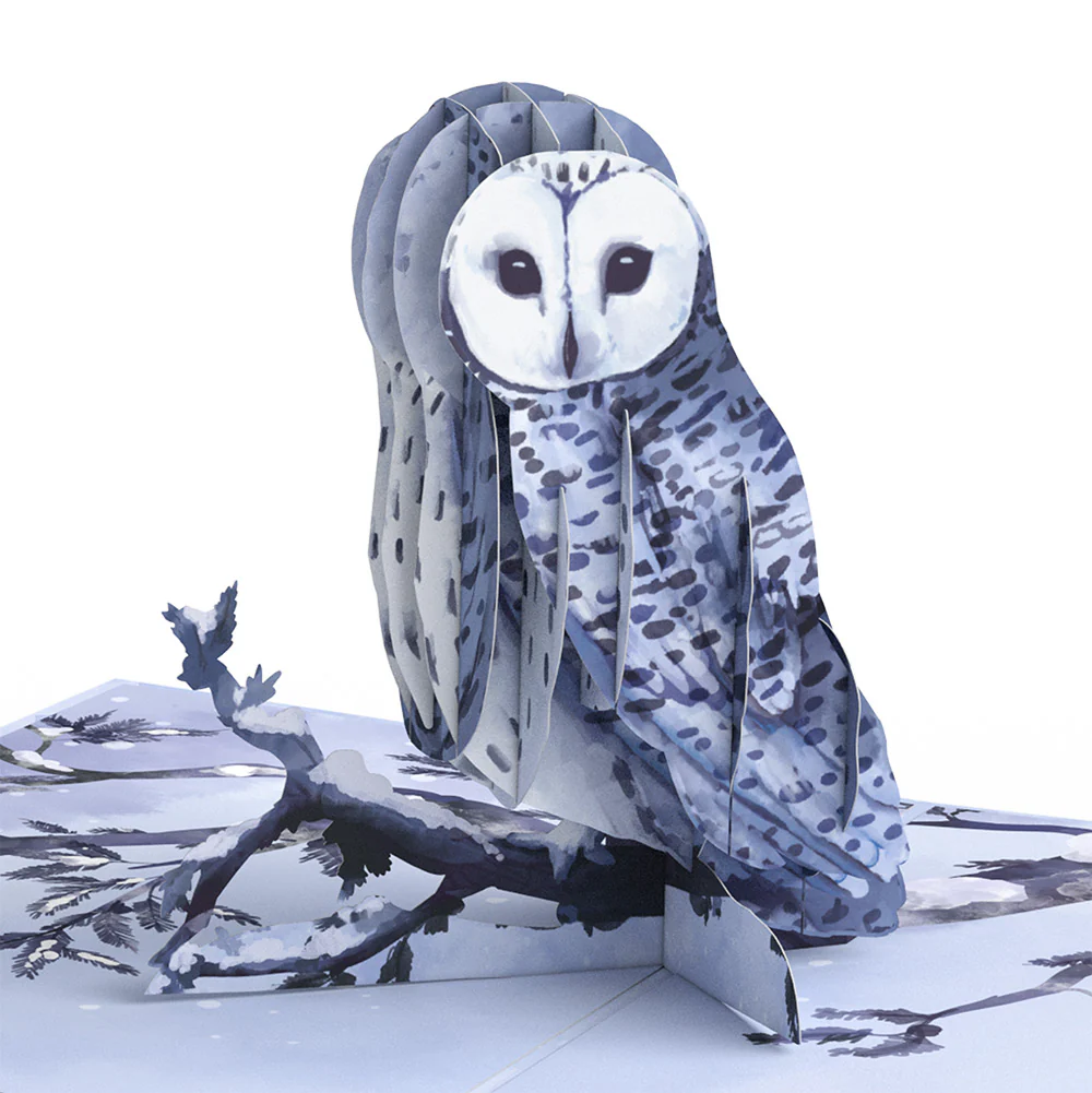 Snowy Owl Christmas Pop-Up Card and Sentiment Set for Son - Image 3