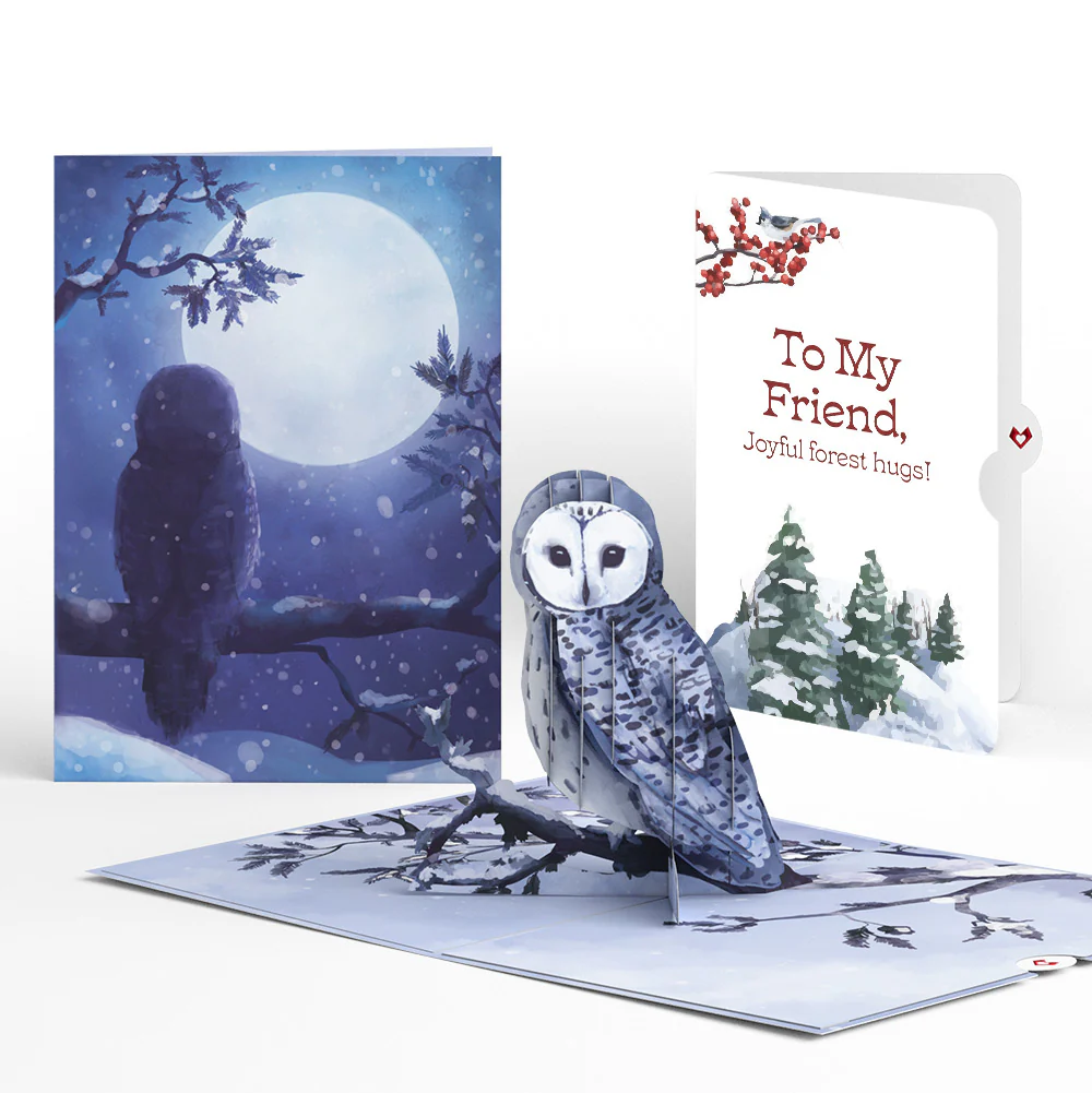 Snowy Owl Winter Pop-Up Card and Sentiment Set for Friend