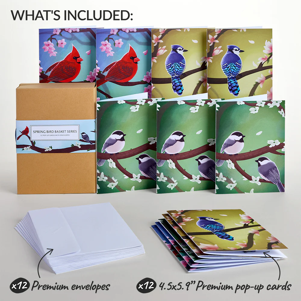Spring Birds Box Set (Assorted 12-Pack): Paperpop® Card - Image 2