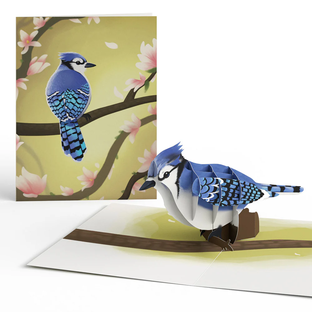 Spring Birds Box Set (Assorted 12-Pack): Paperpop® Card - Image 3