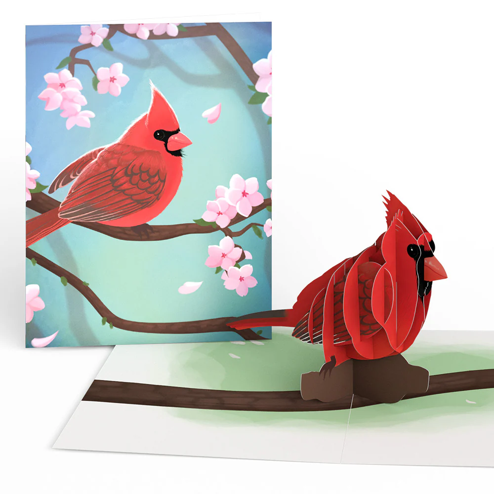 Spring Birds Box Set (Assorted 12-Pack): Paperpop® Card - Image 5
