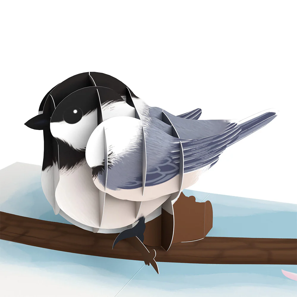 Spring Birds Box Set (Assorted 12-Pack): Paperpop® Card - Image 8
