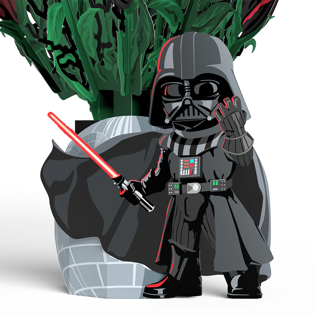 Star Wars™ Darth Vader™ Be Mine Pop-Up Card & Flower Buds Bouquet Bundle - Image 6