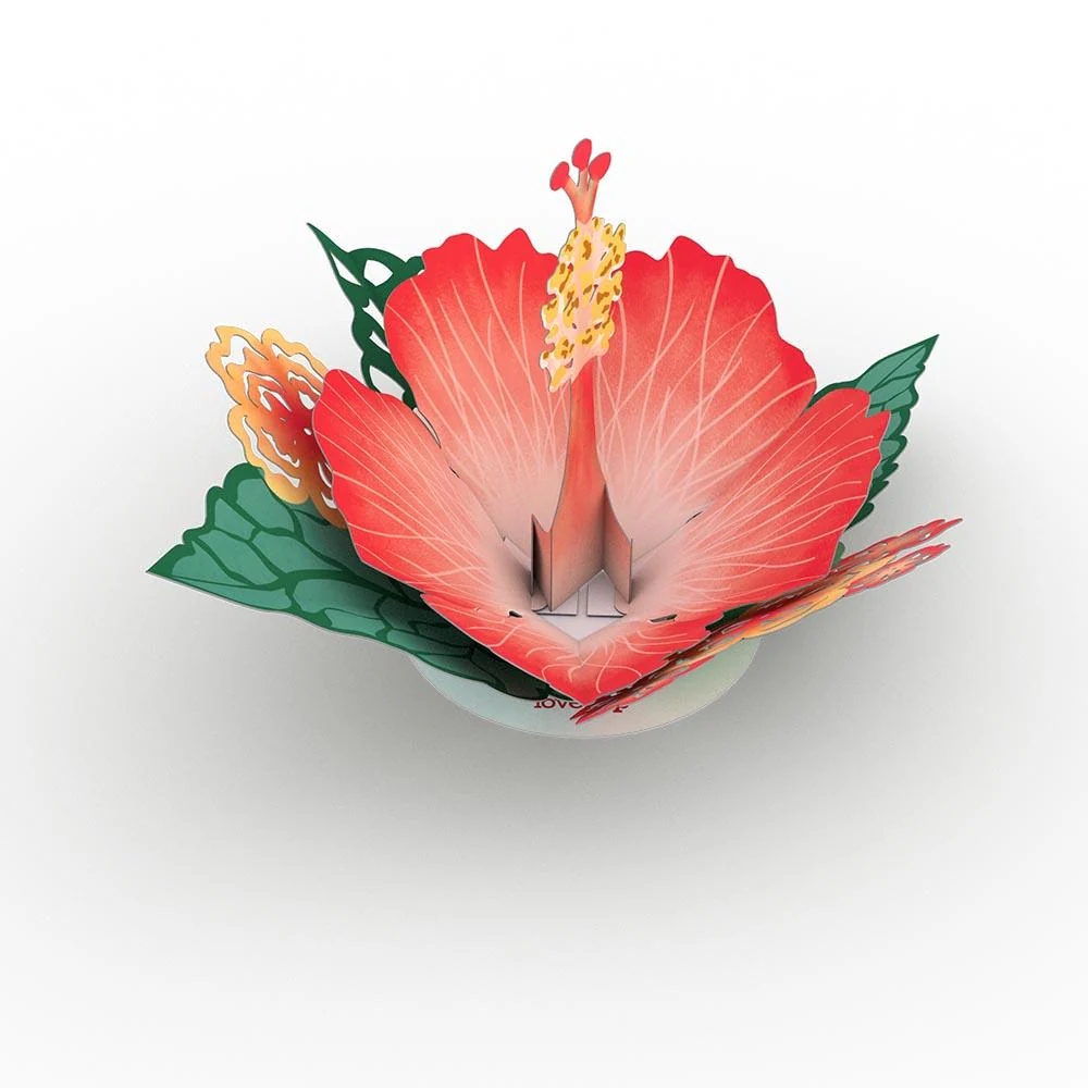 Stickerpop™: Garden Favorites (Assorted 5-Pack) - Image 4