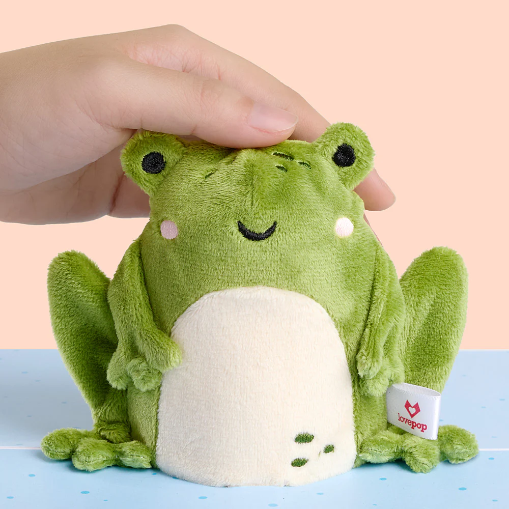 ‘Toadally Awesome’ Frog Plushpop Card and Bouquet Bundle - Image 3