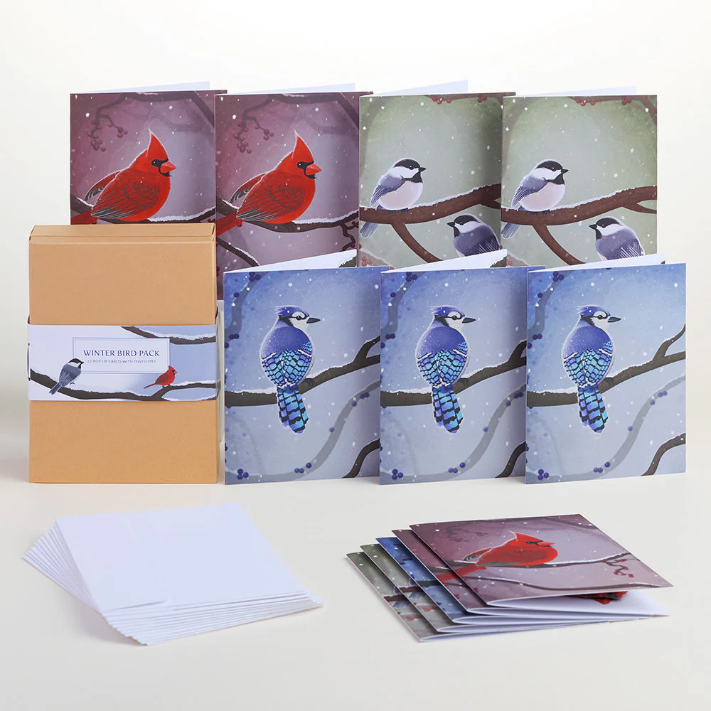 Winter Bird Box Set (Assorted 12-Pack): Paperpop® Card - Image 2