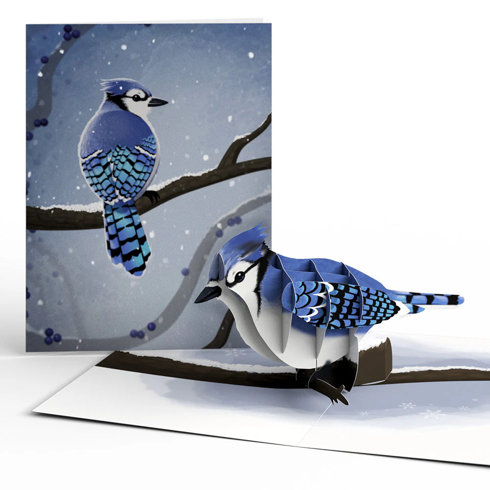 Winter Bird Box Set (Assorted 12-Pack): Paperpop® Card - Image 3