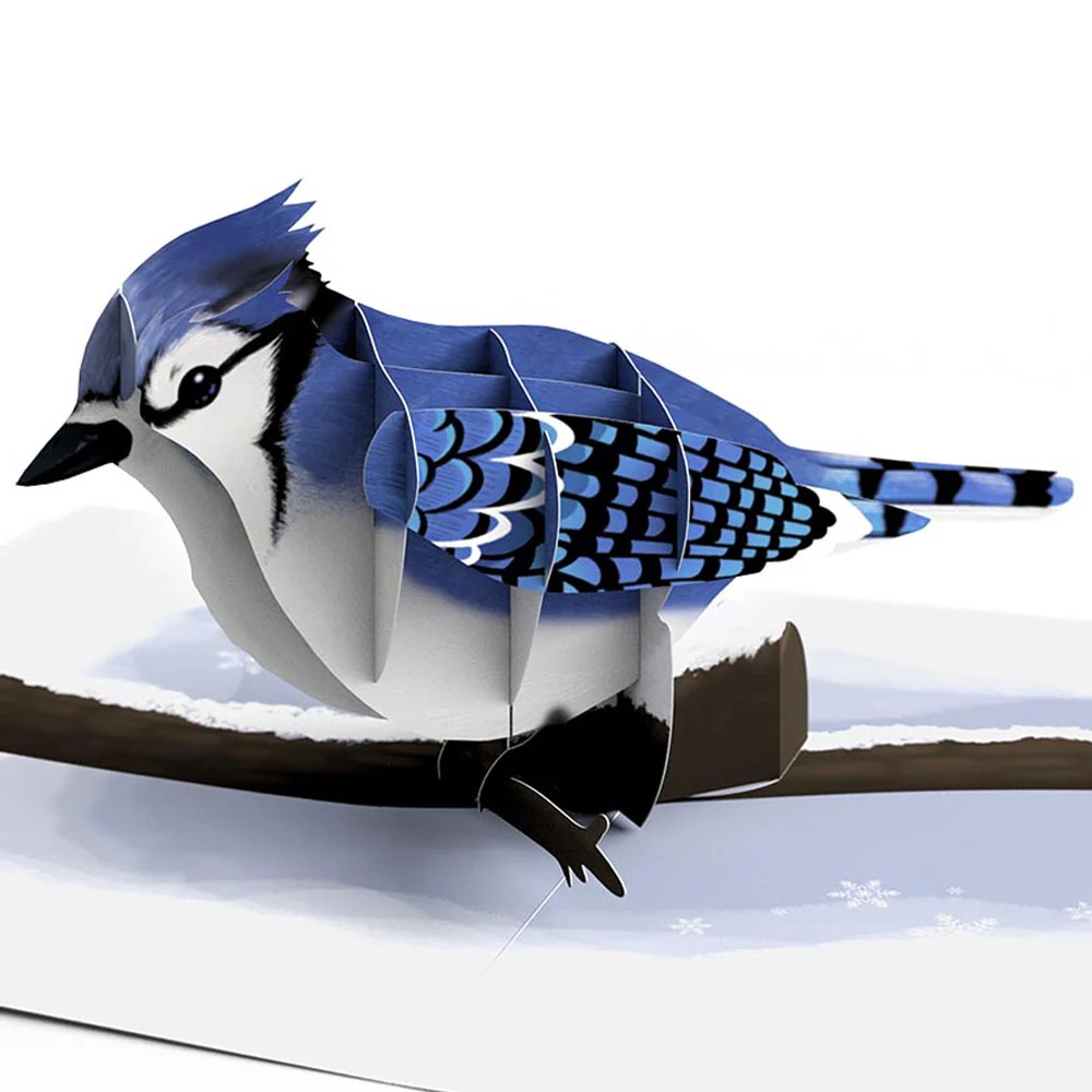 Winter Bird Box Set (Assorted 12-Pack): Paperpop® Card - Image 4