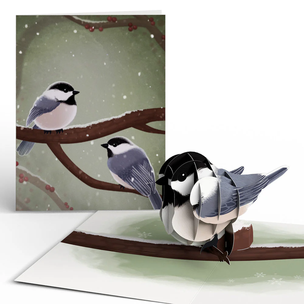 Winter Bird Box Set (Assorted 12-Pack): Paperpop® Card - Image 7
