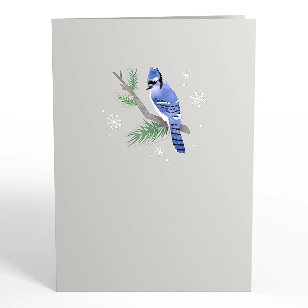 Winter Blue Jay Pop-Up Card - Image 4