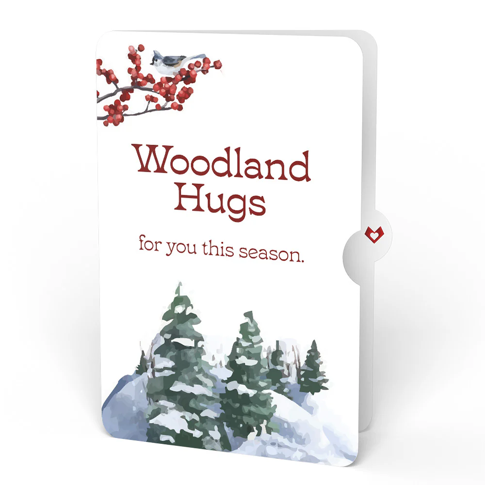 Winter Wishes Mountain Village Light-Up Pop-Up Card and Sentiment Set - Image 4