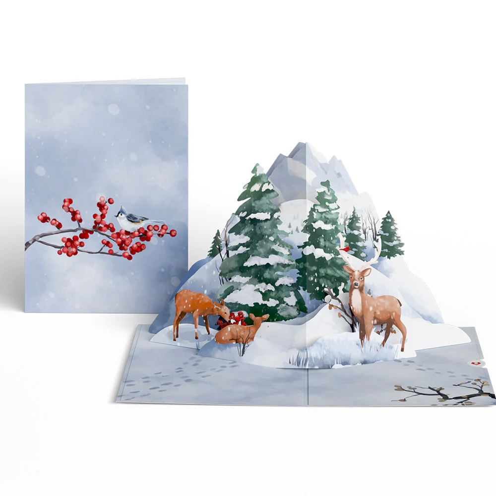 Winter Woodland 5-Pack - Image 2