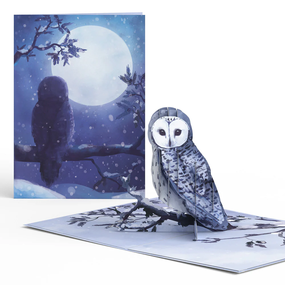 Winter Woodland 5-Pack - Image 4
