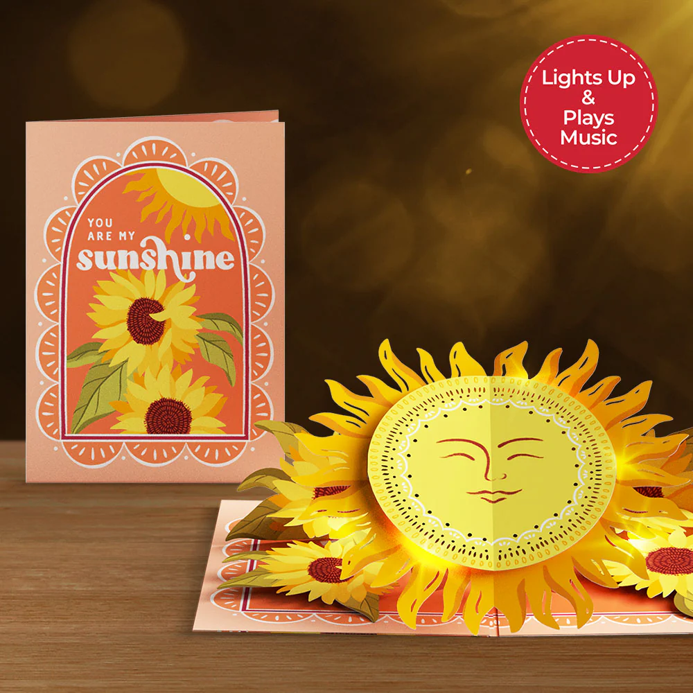 You Are My Sunshine Music and Lights Pop-Up Card & Bouquet Bundle - Image 3