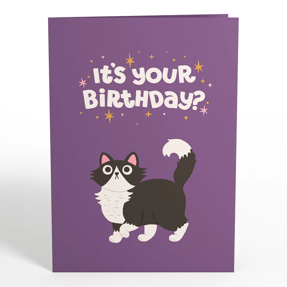 Your Gift Is in the Litterbox Birthday Cat Pop-Up Card - Image 5